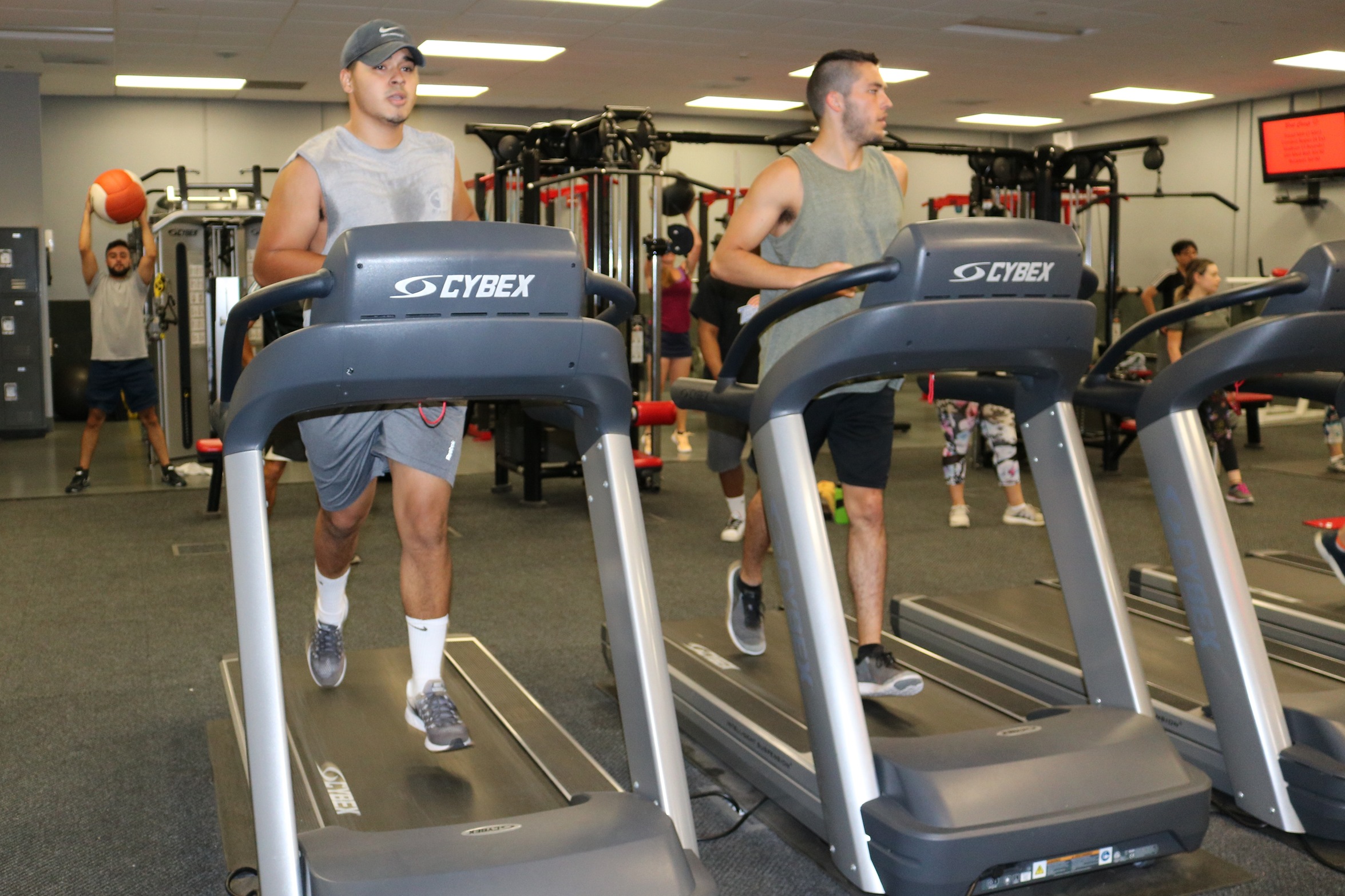 fitness lab